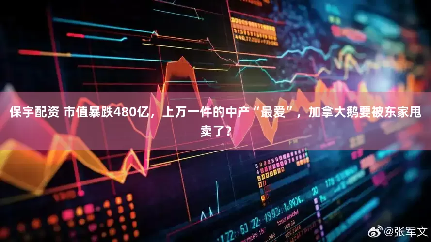 保宇配资 市值暴跌480亿，上万一件的中产“最爱”，加拿大鹅要被东家甩卖了？